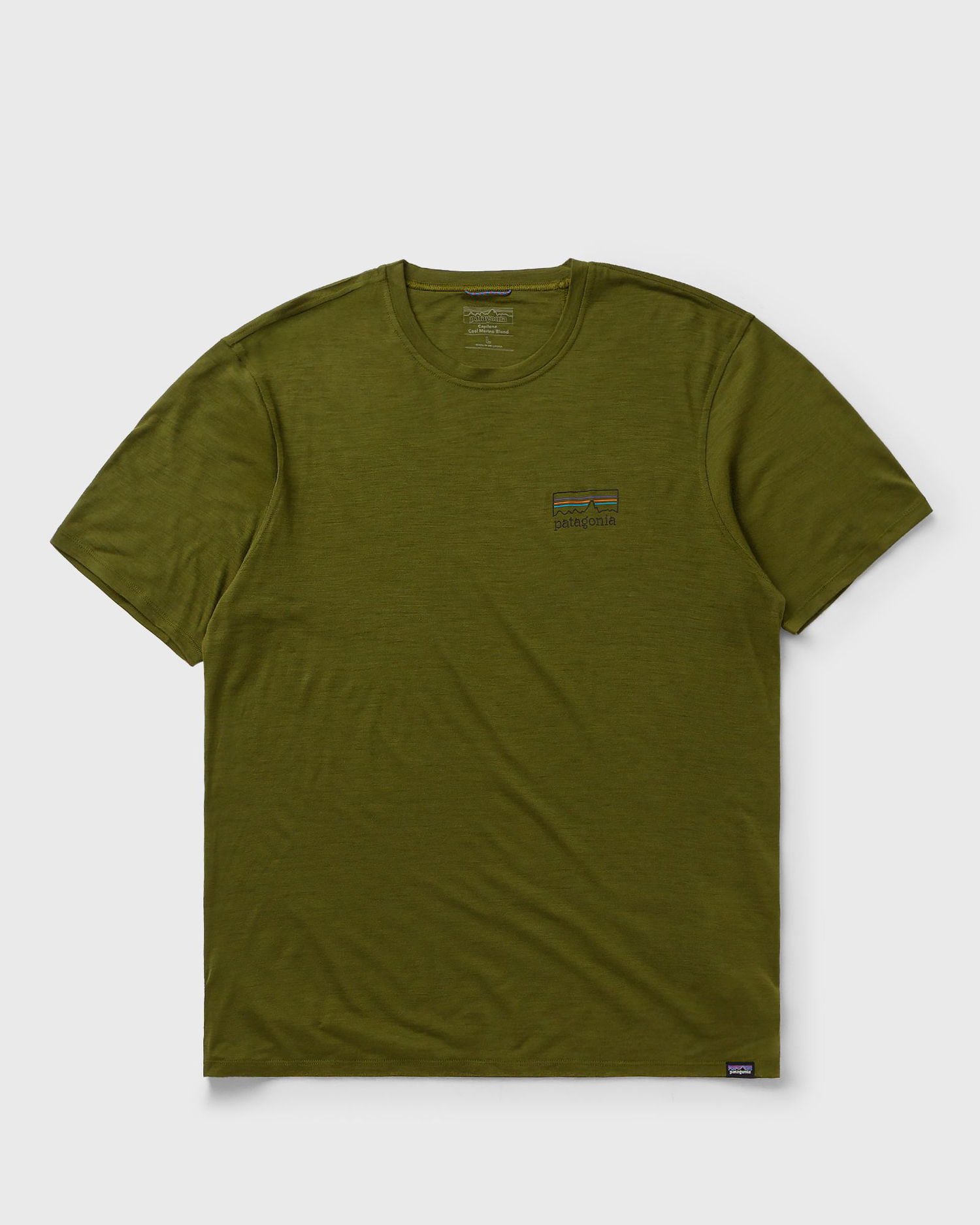 T-shirt Patagonia Capilene Cool Merino Blend Graphic T-Shirt Grøn | 44590-FZPN, 0