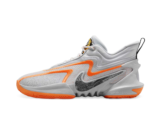Basketball Nike COSMIC UNITY 2 UNIVERSITY Grå | DH1537-004