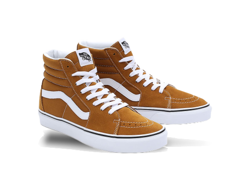 Skateboarding Vans Chaussures Color Theory Brun | VN0007NS1M7