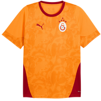 Galatasaray Istanbul Training Jersey