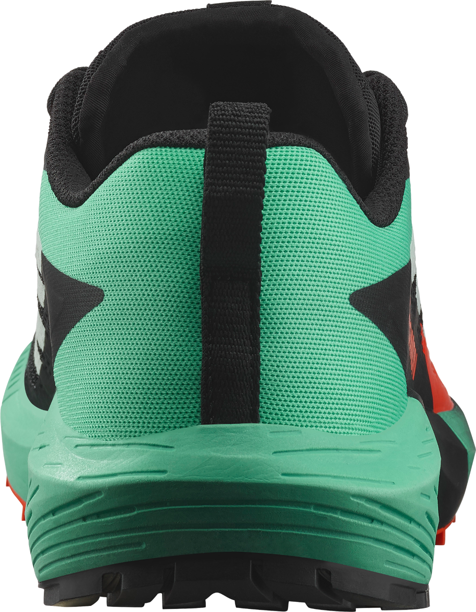 Sneakers og sko Salomon SENSE RIDE 5 Grøn | l47698200, 1