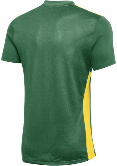 Jersey Nike NK DF PRK DRB IV JSY SS Grøn | fd7430-303, 1