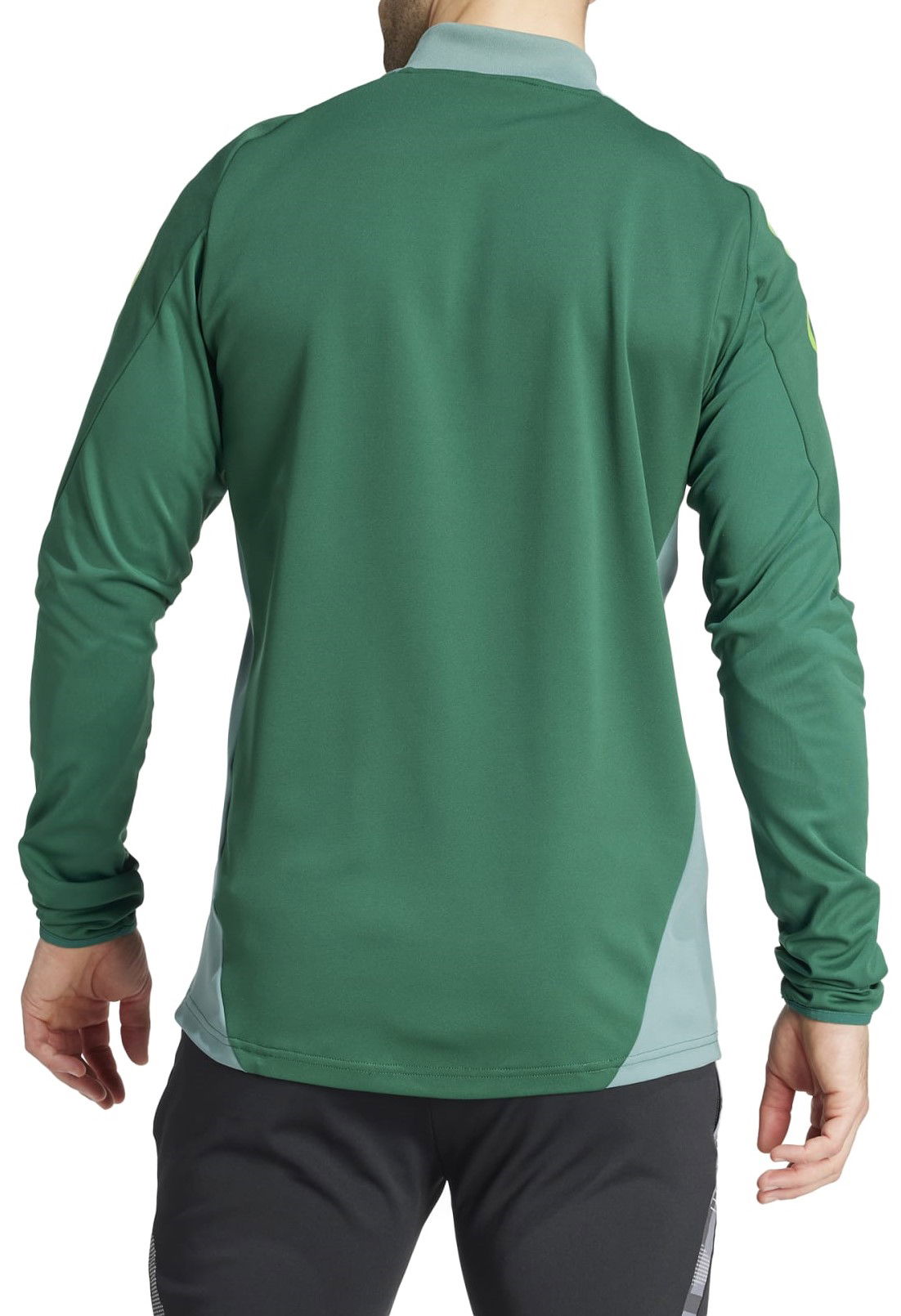 Jakke adidas Originals adidas TIRO24 C TR JKT Grøn | ir5493, 1