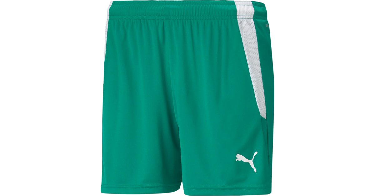 Shorts Puma teamLIGA Shorts Grøn | 70493605, 1