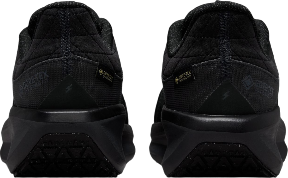 Sneakers og sko Nike Winflo 11 GORE-TEX Sort | fq1359-001, 1