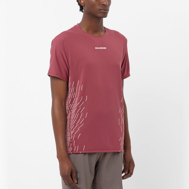 T-shirt Salomon Sense Aero Graphic T-Shirt Rød | LC2700000