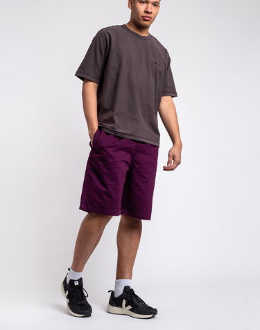 Shorts Stüssy Brushed Beach Short Lilla | 112282, 3