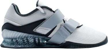 Sneakers og sko Nike ROMALEOS 4 SE Grå | fz8663-100, 4