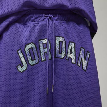 Shorts Jordan Sport DNA Mesh Shorts Lilla | DM1414-579, 2