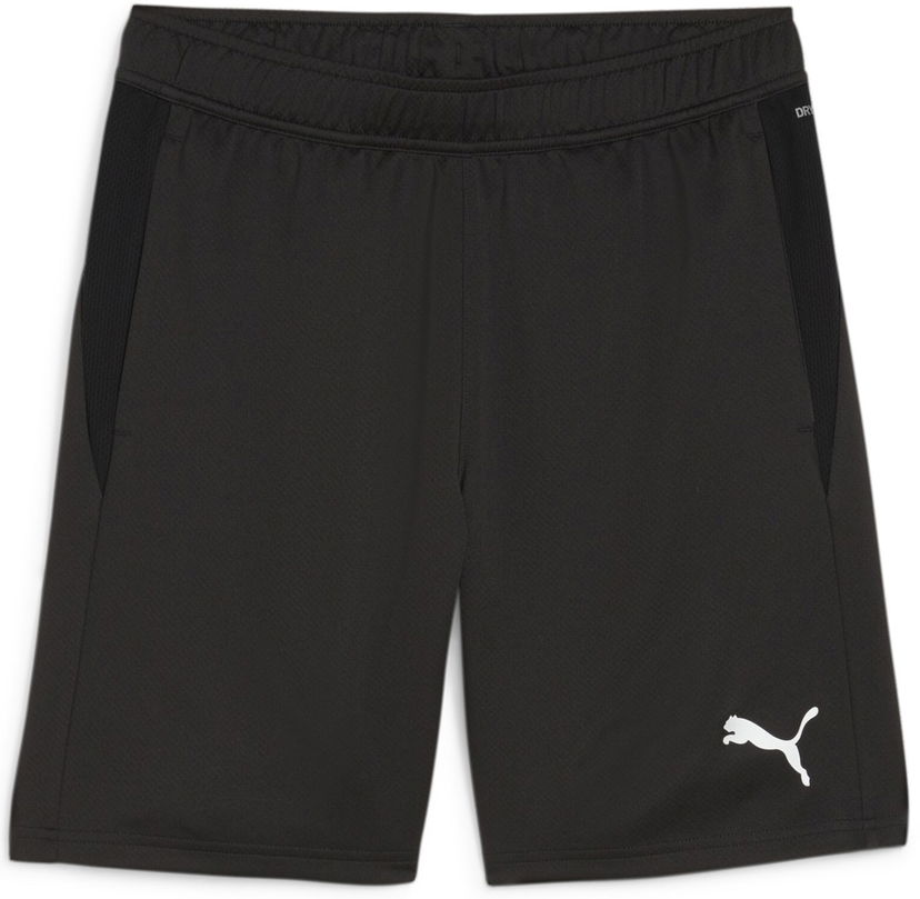 Shorts Puma teamGOAL Training Short Sort | 658643-03
