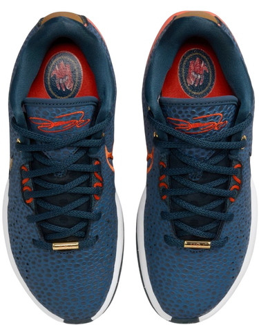 Sneakers og sko Nike LeBron XXI SE Blå | FV3606-400, 3