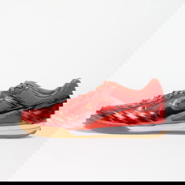 Sneakers og sko Nike GATO LV8 Rød | IB3566-600, 0