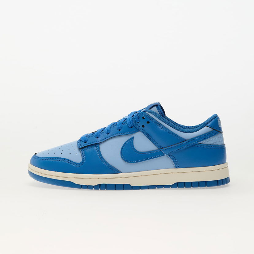 Sneakers og sko Nike Dunk Low Retro Blå | HF5441-400