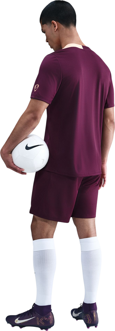 T-shirt Nike Dri-FIT Strike Short Sleeve Soccer Top Lilla | HV6400-610, 1
