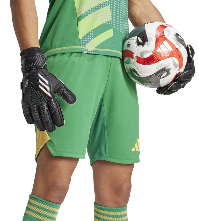 Shorts adidas Originals adidas T24 P GK SHO Grøn | is5346