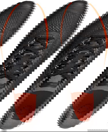 Sneakers og sko adidas Performance TERREX AGRAVIC FLOW 2 GTX Sort | hr1110, 4