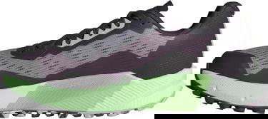 Sneakers og sko adidas Performance adidas Terrex TERREX AGRAVIC FLOW 2 W Sort | id2504, 2