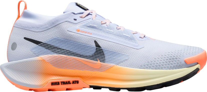 Sneakers og sko Nike Pegasus Trail 5 GORE-TEX Flerfarvet | fq0908-011