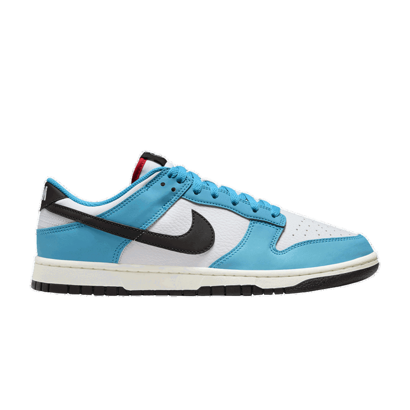 Sneakers og sko Nike Dunk Low Next Nature Blå | HJ9088-488