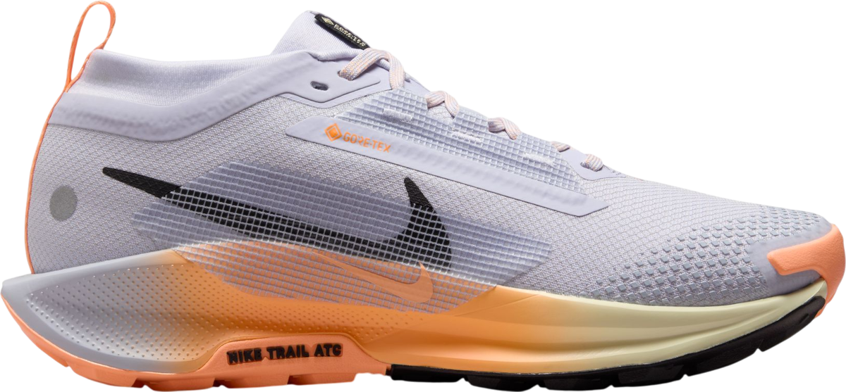 Sneakers og sko Nike Pegasus Trail 5 GORE-TEX Flerfarvet | fq0912-011, 0