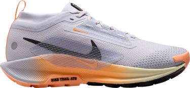 Sneakers og sko Nike Pegasus Trail 5 GORE-TEX Flerfarvet | fq0912-011, 0