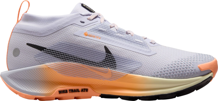 Sneakers og sko Nike Pegasus Trail 5 GORE-TEX Flerfarvet | fq0912-011