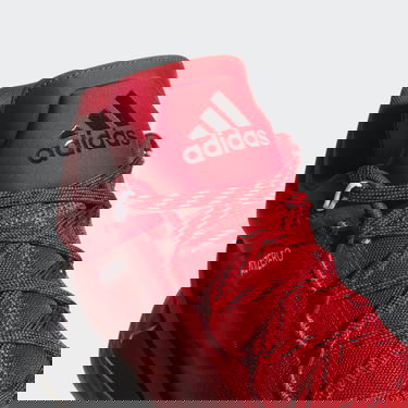 Sneakers og sko adidas Performance D Rose 11 Brenda Rød | FV8927, 3