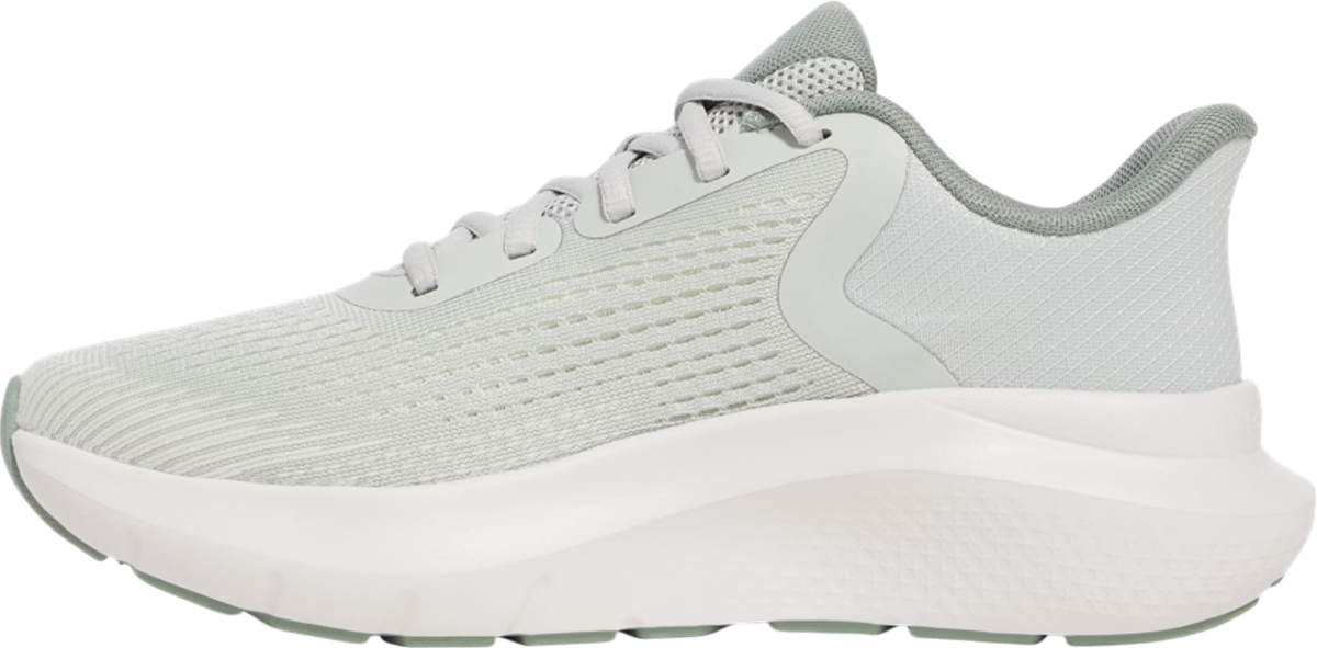 Sneakers og sko Under Armour Charged Rogue 5 Grå | 3028262-377, 1