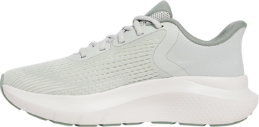 Sneakers og sko Under Armour Charged Rogue 5 Grå | 3028262-377, 1