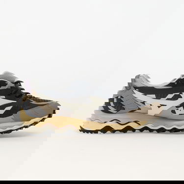 Sneakers og sko Mizuno Wave Mujin TL GTX Grå | D1GA2373-08, 2