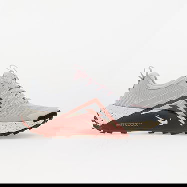 Sneakers og sko Nike Wildhorse 10 Grå | FV2338-004, 2