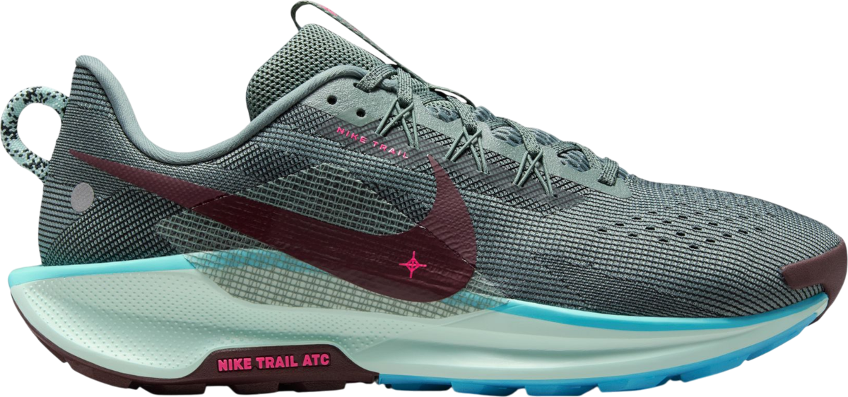 Sneakers og sko Nike Pegasus Trail 5 Flerfarvet | dv3864-302, 0