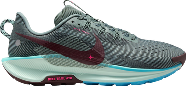 Sneakers og sko Nike Pegasus Trail 5 Flerfarvet | dv3864-302, 0