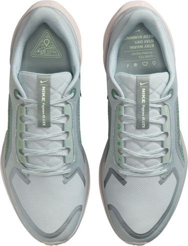 Sneakers og sko Nike Pegasus 41 GORE-TEX Flerfarvet | fq1356-007, 2