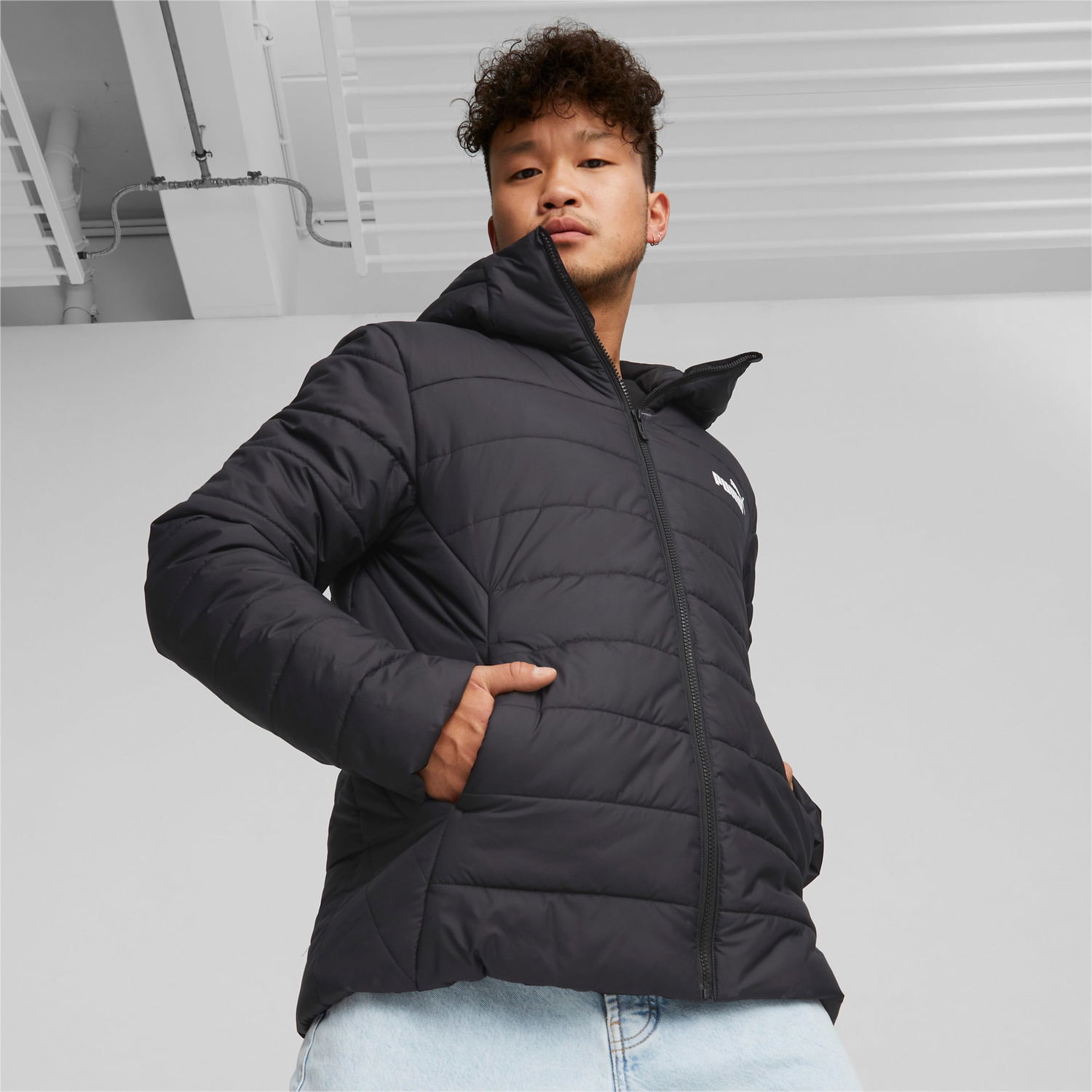 Jakke Puma Essentials wattierte Sort | 848938_01, 1