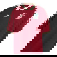 Mexico Icon Jersey