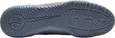 Sneakers og sko Nike LEGEND 10 ACADEMY IC Lilla | DV4341-402, 2