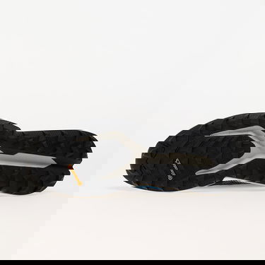 Sneakers og sko adidas Performance Terrex Soulstride Blå | IH3441, 1