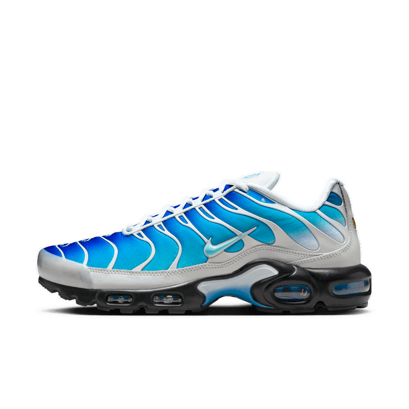 Sneakers og sko Nike One Block Down x Air Max Plus "Light Photo Blue" Blå | FZ3308-400