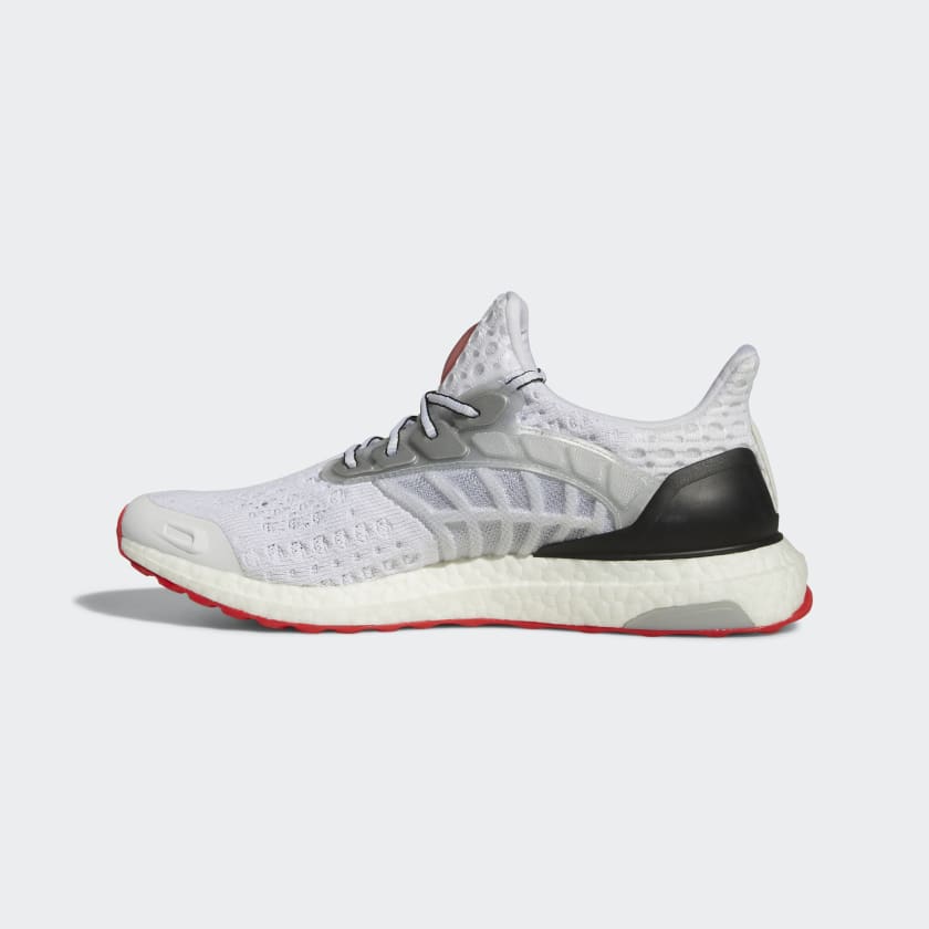 Sneakers og sko adidas Performance Ultraboost 2 DNA Grå | GY5373, 0