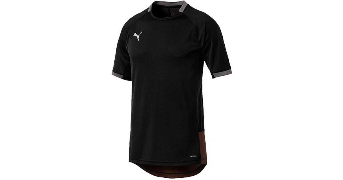 T-shirt Puma ftblnxt pro Sort | 656108-001, 1