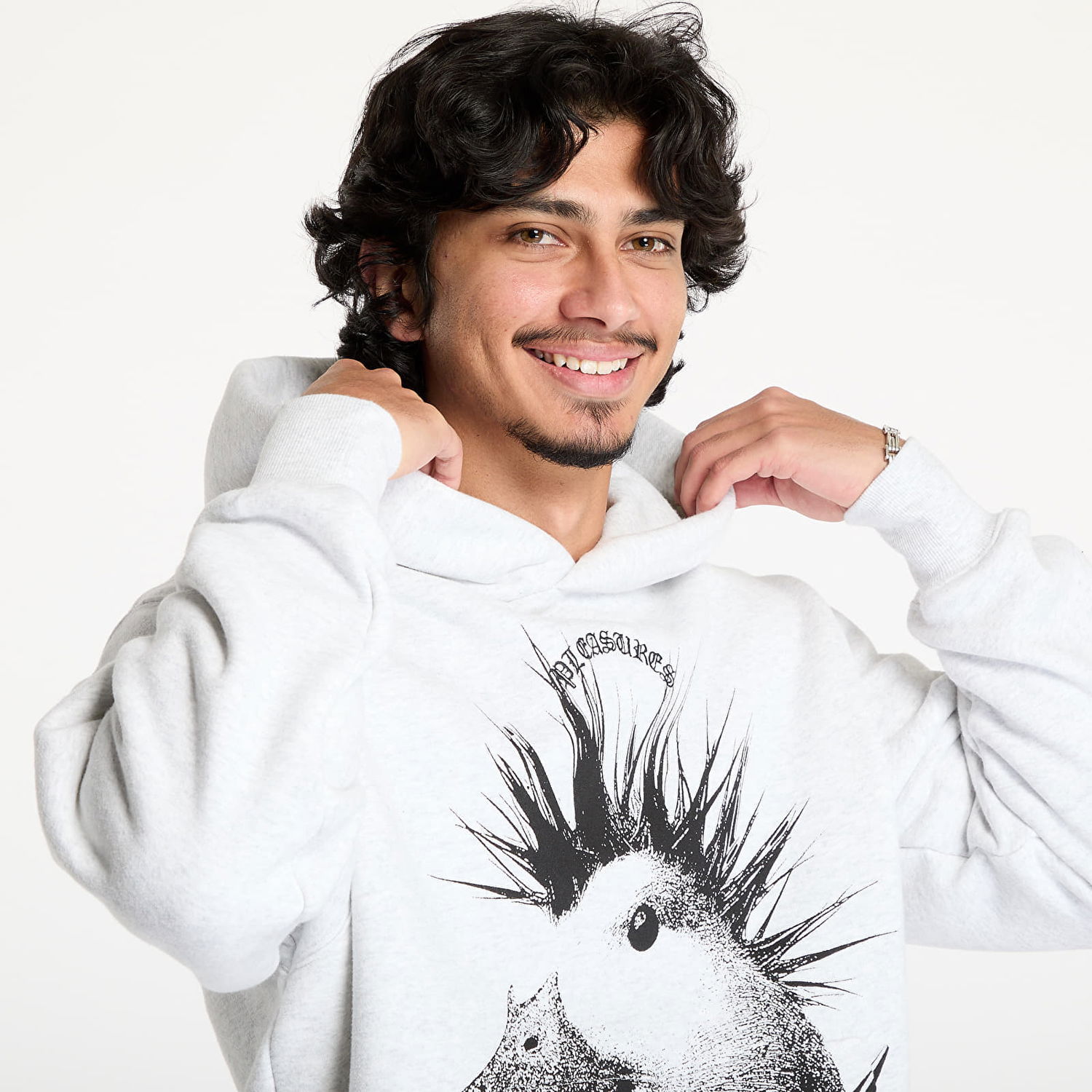 Sweatshirt Pleasures Punk Duck Print Hoodie Grå | P24W021 GREY, 1