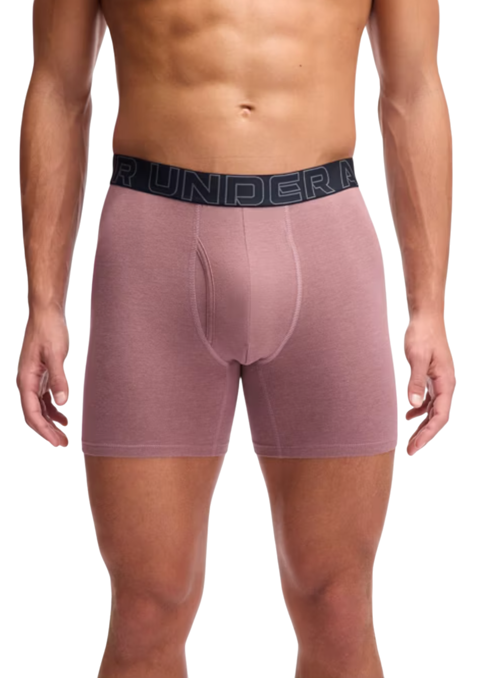 Boksere Under Armour Under Armour SOLID 6in 3 Pack Boxer Shorts Flerfarvet | 1383889-651, 1