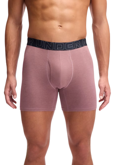 Boksere Under Armour Under Armour SOLID 6in 3 Pack Boxer Shorts Flerfarvet | 1383889-651, 1