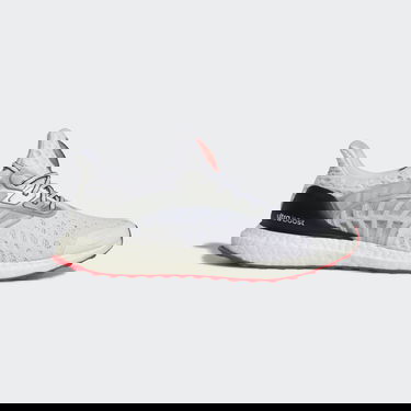 Sneakers og sko adidas Performance Ultraboost 2 DNA Grå | GY5373, 1
