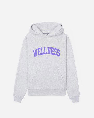 Sweatshirt Sporty & Rich Wellness Ivy Hoodie Grå | HO431HG, 1