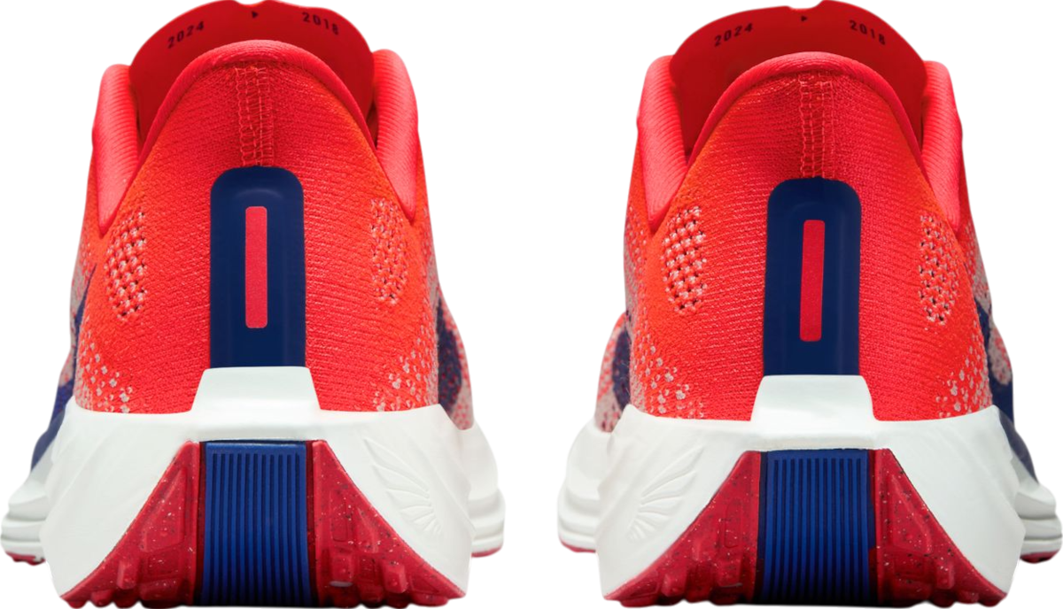 Sneakers og sko Nike Pegasus Plus Rød | fq7261-602, 1