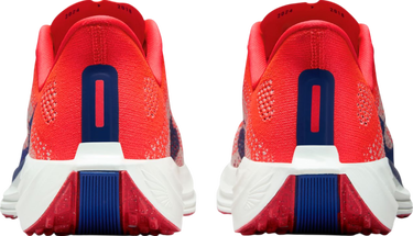 Sneakers og sko Nike Pegasus Plus Rød | fq7261-602, 1