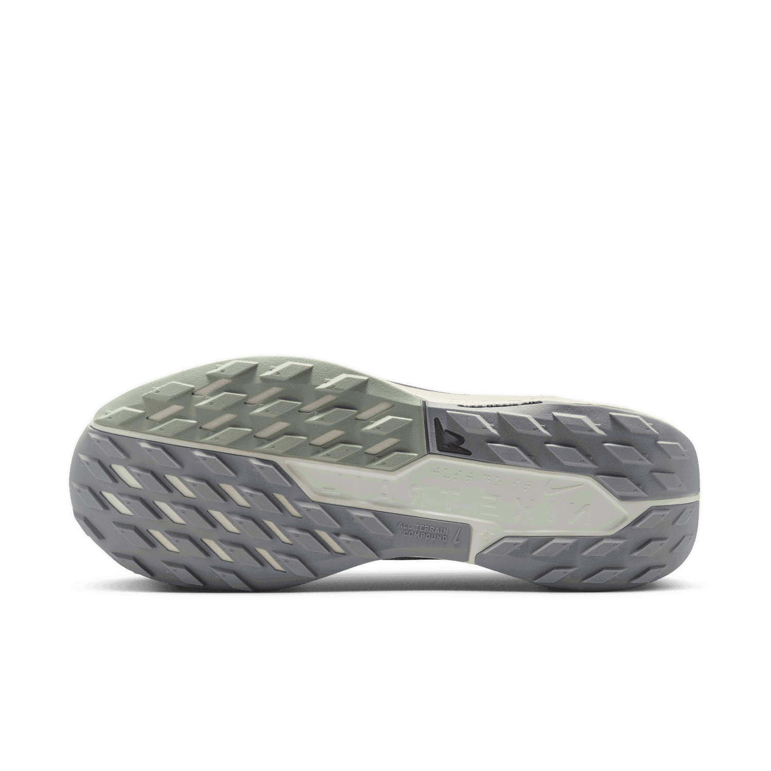 Sneakers og sko Nike Pegasus Trail 5 GORE-TEX Grå | FQ0908-006, 1