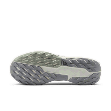 Sneakers og sko Nike Pegasus Trail 5 GORE-TEX Grå | FQ0908-006, 1